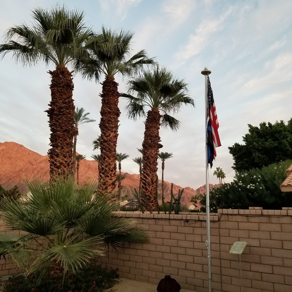 Meet your Posher, Feadeline (lalie)